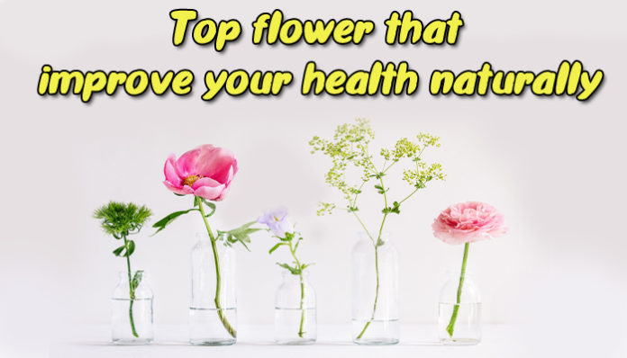 Top flower that improve your health naturally