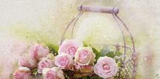 watercolor roses and basket 2144246 1920