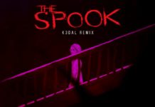 Interview with a Musician: The Spook