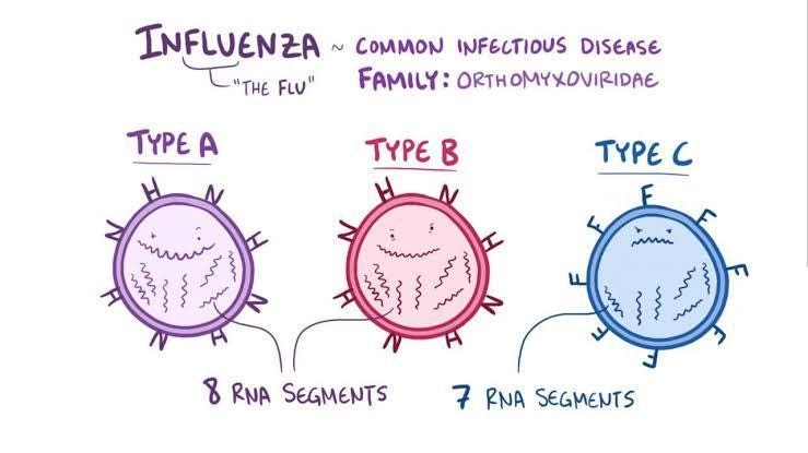 THE DIFFERENCES BETWEEN INFLUENZA A AND B – PQR News